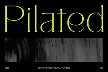 Pilated - Serif Typeface