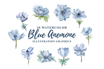 10 Watercolor Blue Anemone Flower Illustration