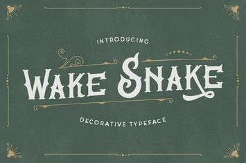 Wake Snake – Decorative Vintage Typeface