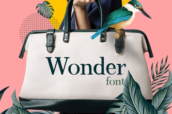 Wonder