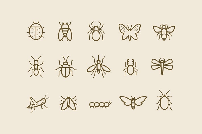 15 Insect Icons