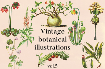 Vintage Botanical Illustrations Vol.5
