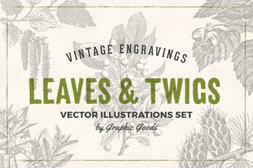 Leaves & Twigs – Vintage Engraving Illustrations