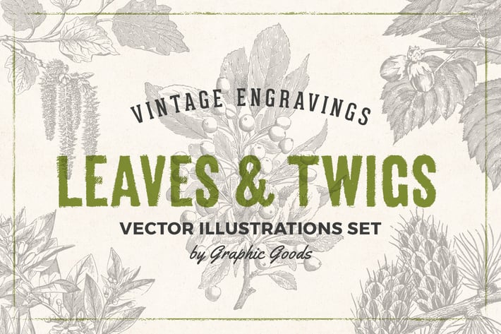 Leaves & Twigs – Vintage Engraving Illustrations