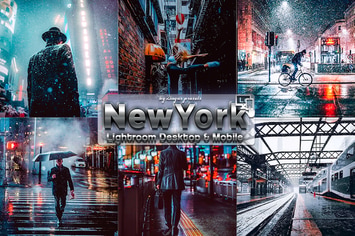 New York Winter Lightroom Presets Phone & PC