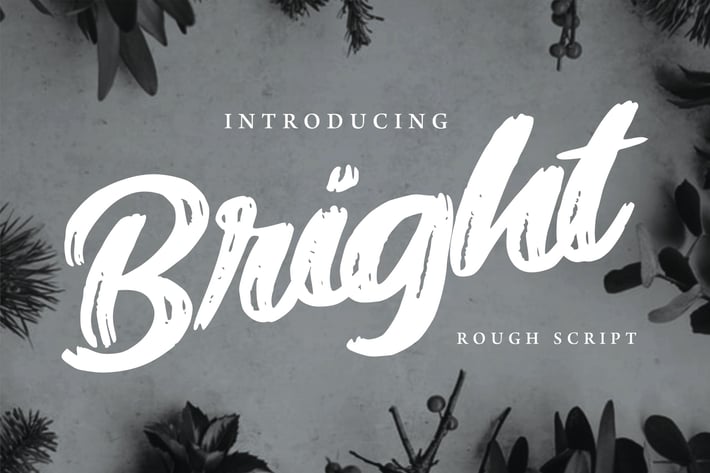 Bright | Modern Rough Script Font