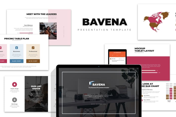 Bavena :  Startup Initial Pitch Deck Powerpoint