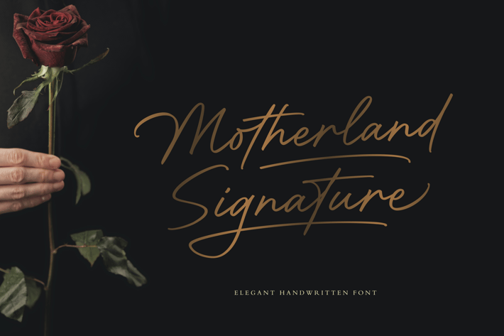 Motherland Signature