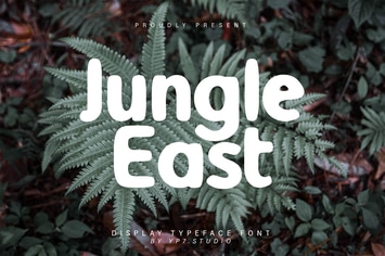 Quirky Modern Display Font
