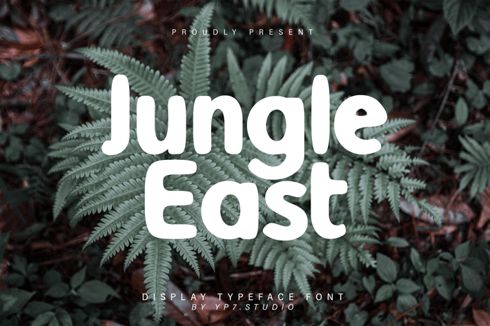 Quirky Modern Display Font