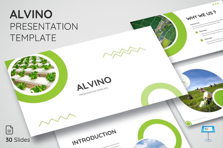 Alvino - Keynote Presentation Template
