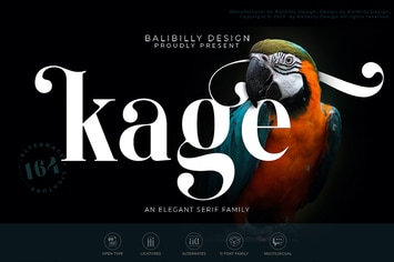 Kage - An Elegant Serif Typeface