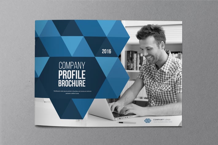 Annual Report Brochure