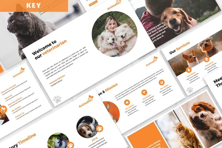 Animalia - Keynote Template