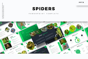 Spiders  - Powerpoint Template