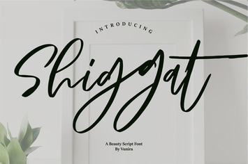 Shiggat | A Beauty Script Font