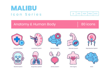 Anatomy Icons