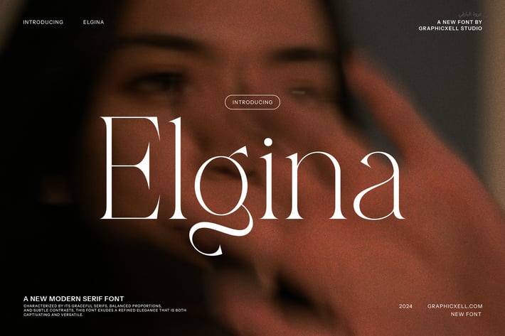 Elgina - Unique Serif Font