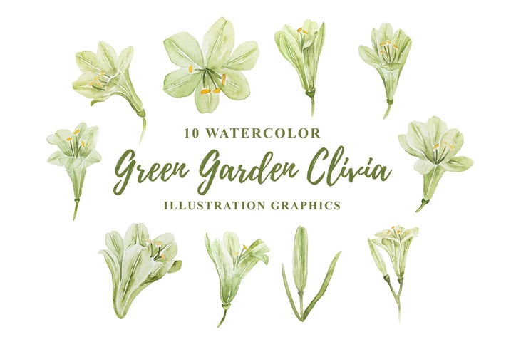 10 Watercolor Green Garden Clivia Illustration