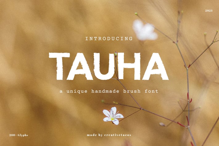 Tauha Handmade Brush Font
