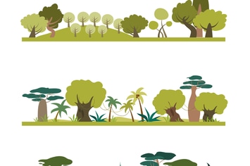 Set of different trees species . Coniferous,