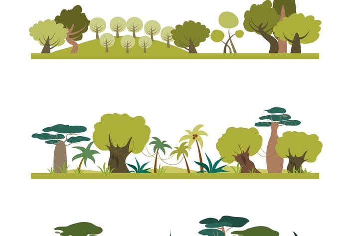 Set of different trees species . Coniferous,