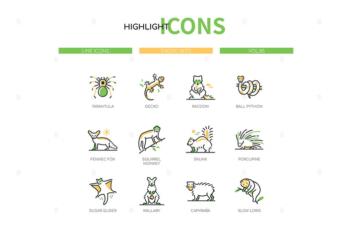 Exotic pets - modern line design style icons set