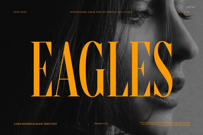Eagles Elegant Serif Font