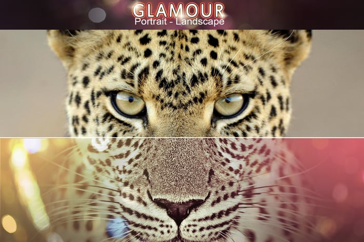  Vivid Glamour Action Set 