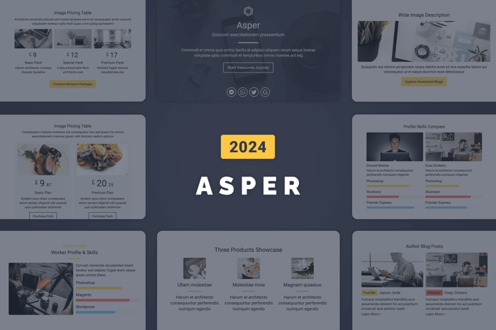 Asper Responsive Email Template 2024