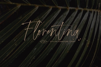 Florentina font signature script