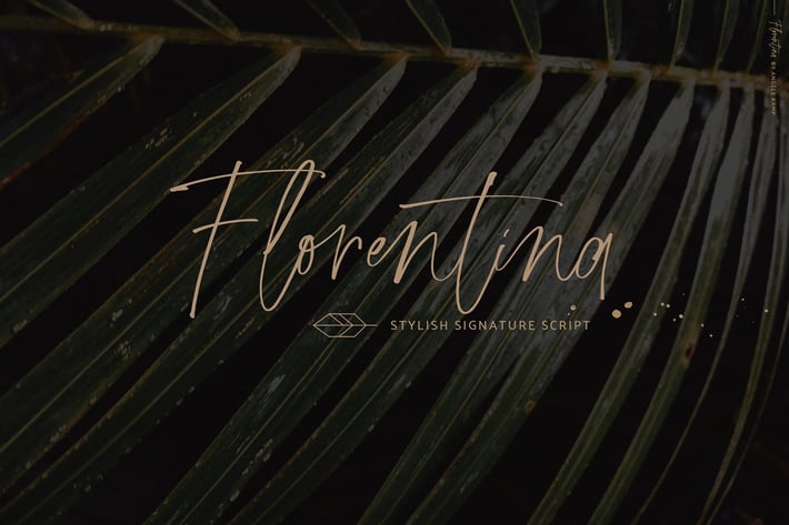 Florentina font signature script