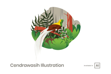 Cendrawasih Illustration