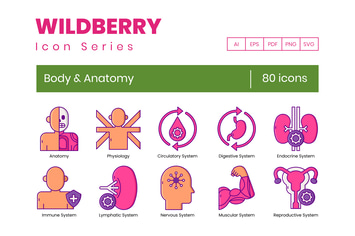 80 Body & Anatomy Line Icons