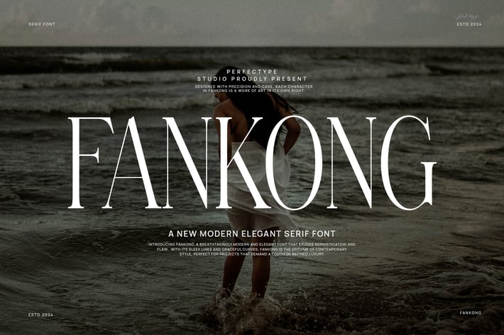 Fankong Minimalist Serif Font Typeface