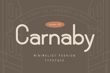 Minimalist Sans Serif Font