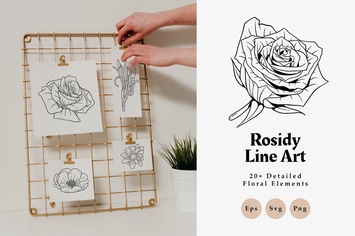 20+ Rosidy Detailed Floral Line Art Elements