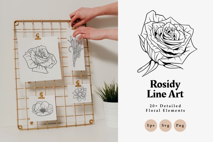 20+ Rosidy Detailed Floral Line Art Elements