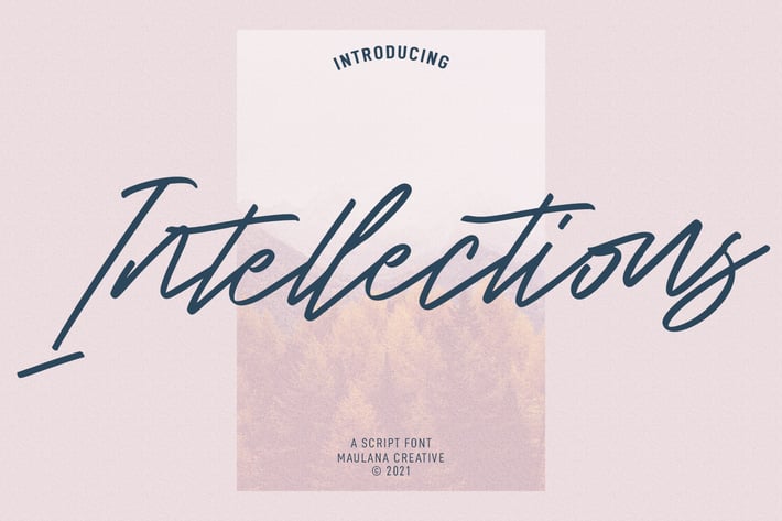 Intellections Signature Script Font