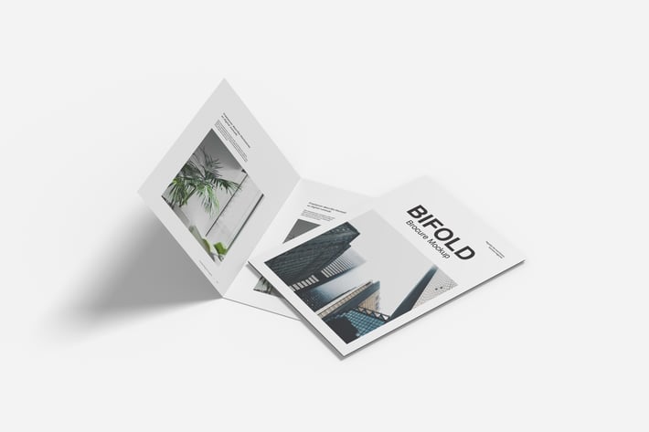 Bifold Mockup V4