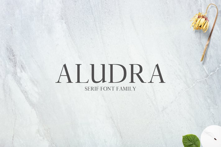 Aludra Serif Font Family Pack