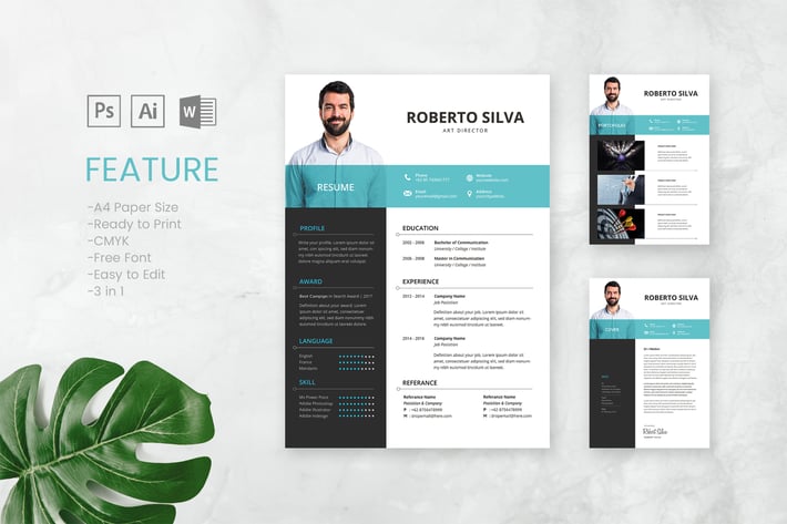 Professional CV And Resume Template Roberto