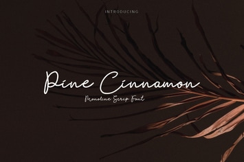 Pine cinnamon