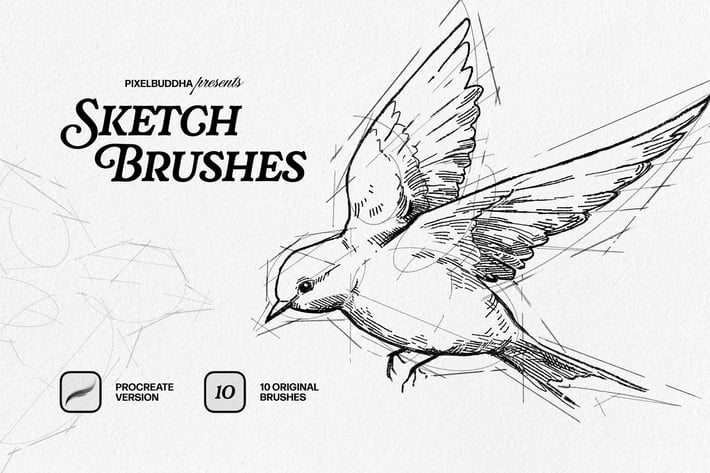 SKETCHER — Sketch Brushes for Procreate