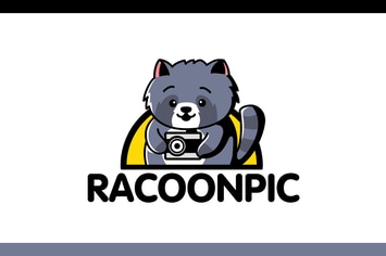 Cartoon Racoon Holding Camera Mascot Logo