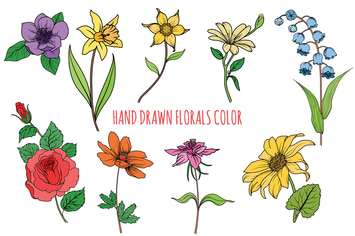 Florals Color Hand Drawn