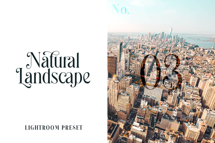 Lightroom Preset - Natural Landscape No.03