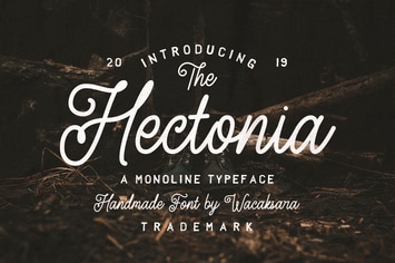 Hectonia
