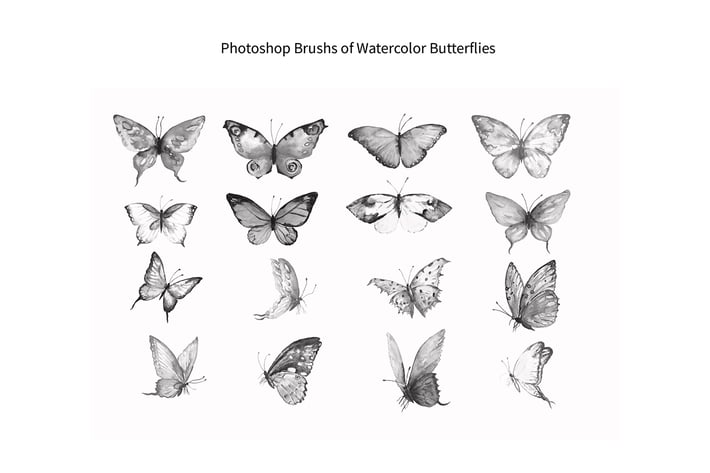 Photoshop Brush Watercolor Butterflies ABR