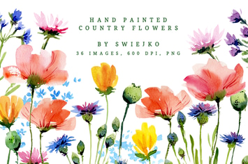 Watercolor Country Flowers